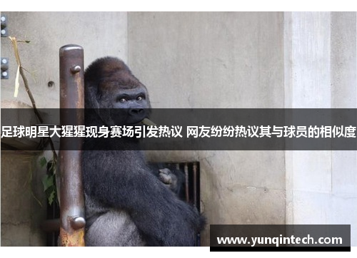 足球明星大猩猩现身赛场引发热议 网友纷纷热议其与球员的相似度
