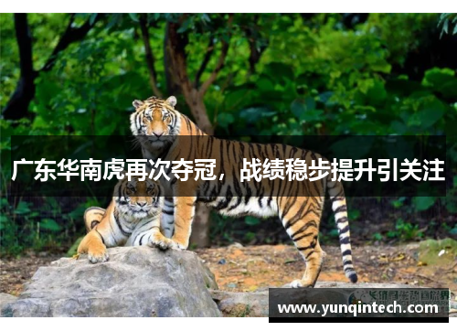 广东华南虎再次夺冠，战绩稳步提升引关注